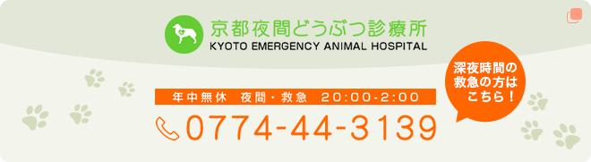KYOTO EMERGENCY ANIMAL HOSPITAL